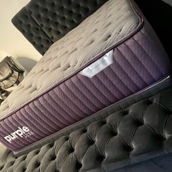 New Queen Purple Luxe Rejuvenate