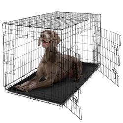 Foldable Dog Crate Wire Metal Dog Kennel w/Divider Panel, Leak-Proof Pan & Protecting Feet - 48 in. W