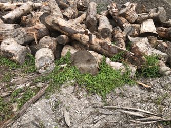 Firewood rounds