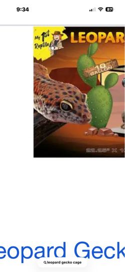 Leopard gecko cage