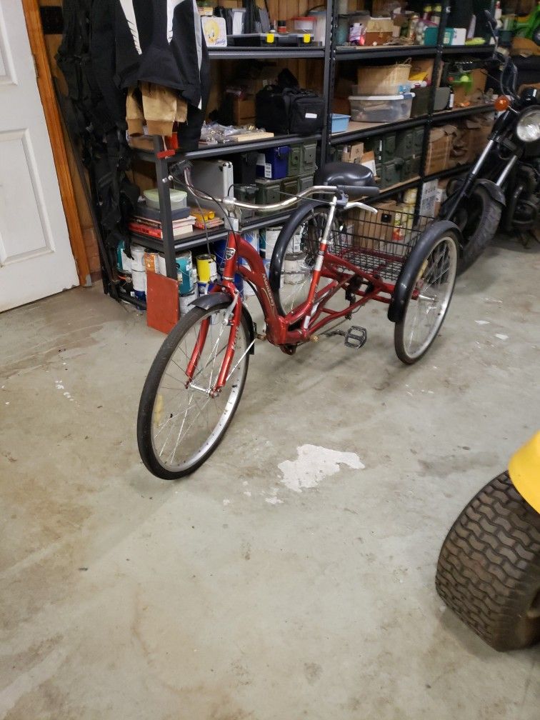 Monterey Adult Tricycle 