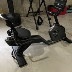 Schwinn 290 Recumbent Bike