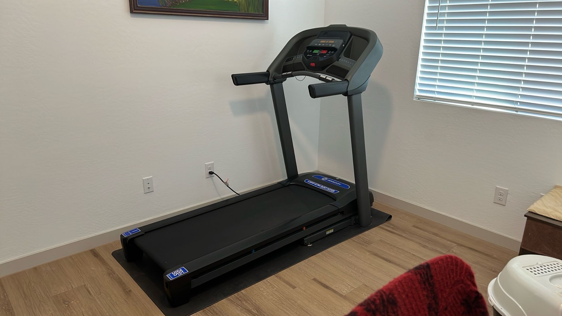 Horizon Treadmill T101