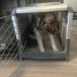 Diggs Crate, Small Dog Crate