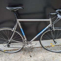 Litespeed Titanium Firenz Made In USA, 58cm, 18lbs, Ultegra Road Bike