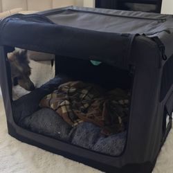 Top Paw portable Dog Crate