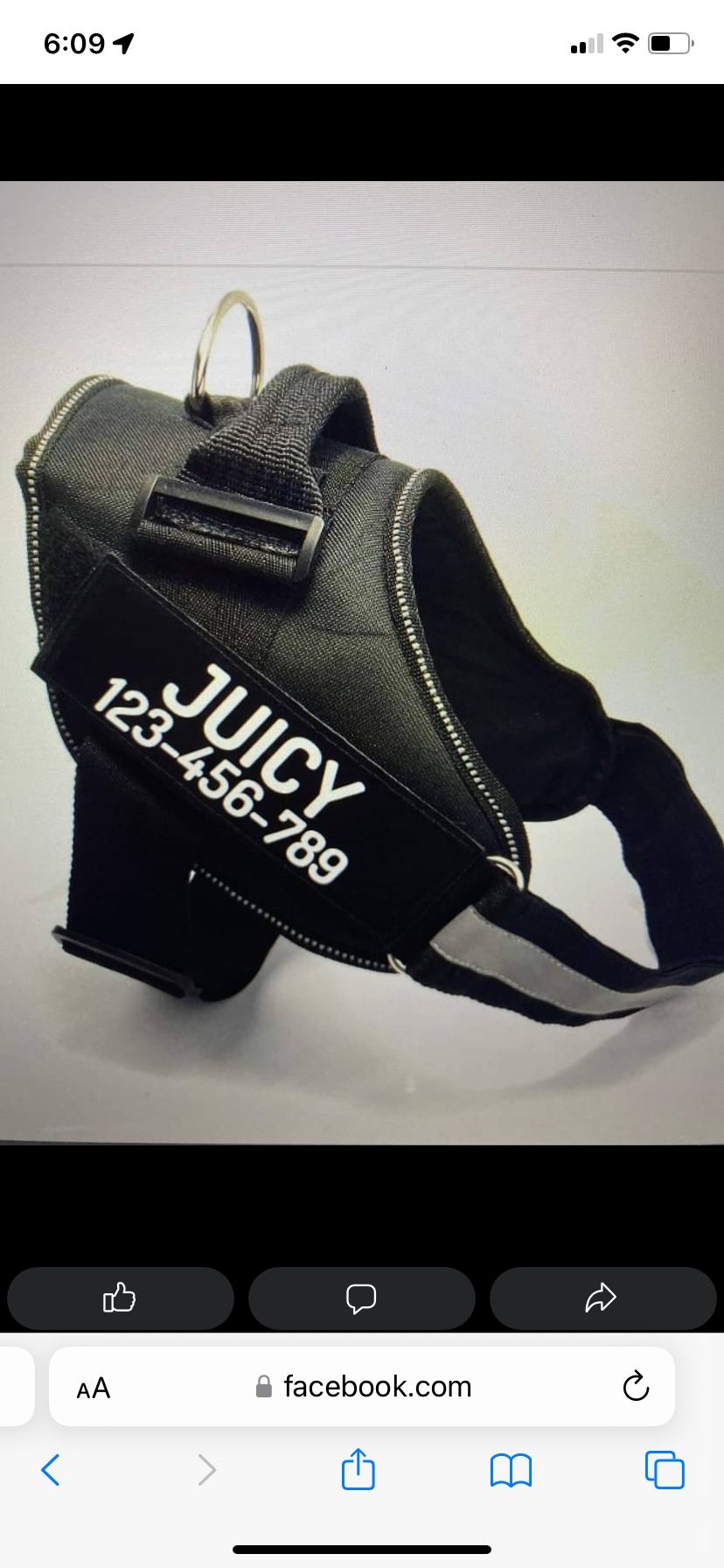 Harness