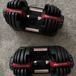 Bowflex Adjustable 52.5lbs Dumbbells