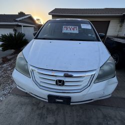 Honda Odyssey EX-L (White)