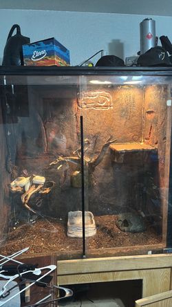 Snake tank