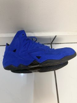 LeBron’s virescit vulnere virtus 6