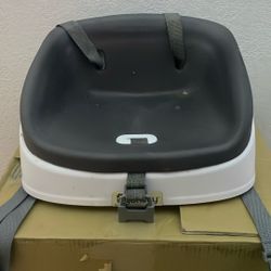 Ingenuity Booster Seat