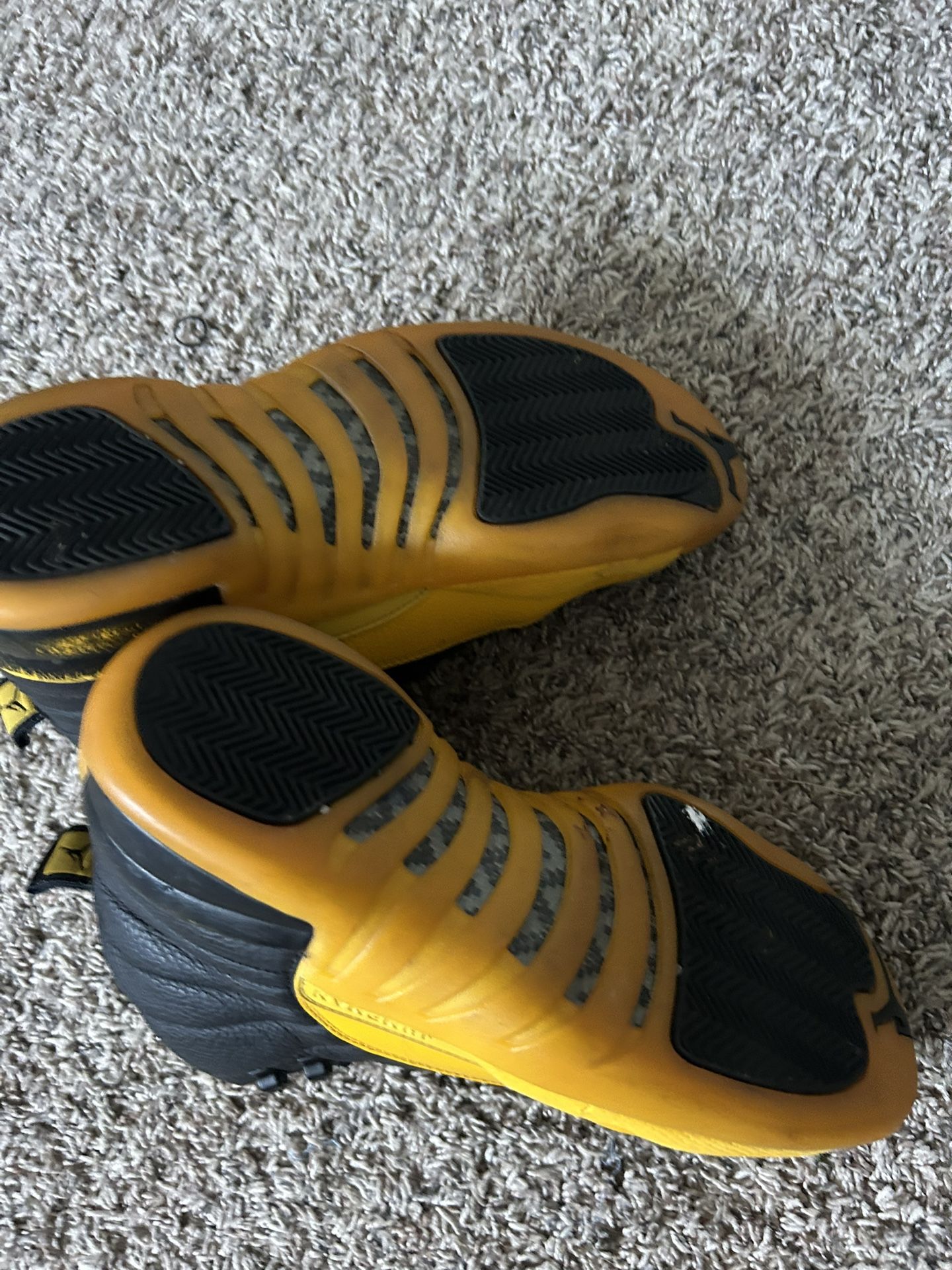 Jordan 12s