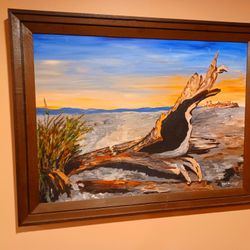 Framed Painting On Canvas. Local Art Nautical