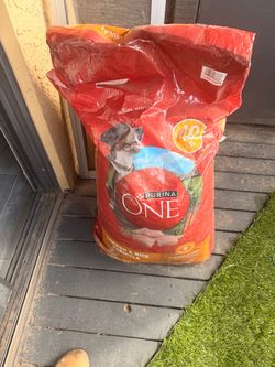 Free dog food
