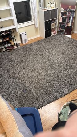 Area rug