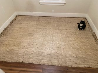 Jute Rug (a little over 7 by 10 feet)