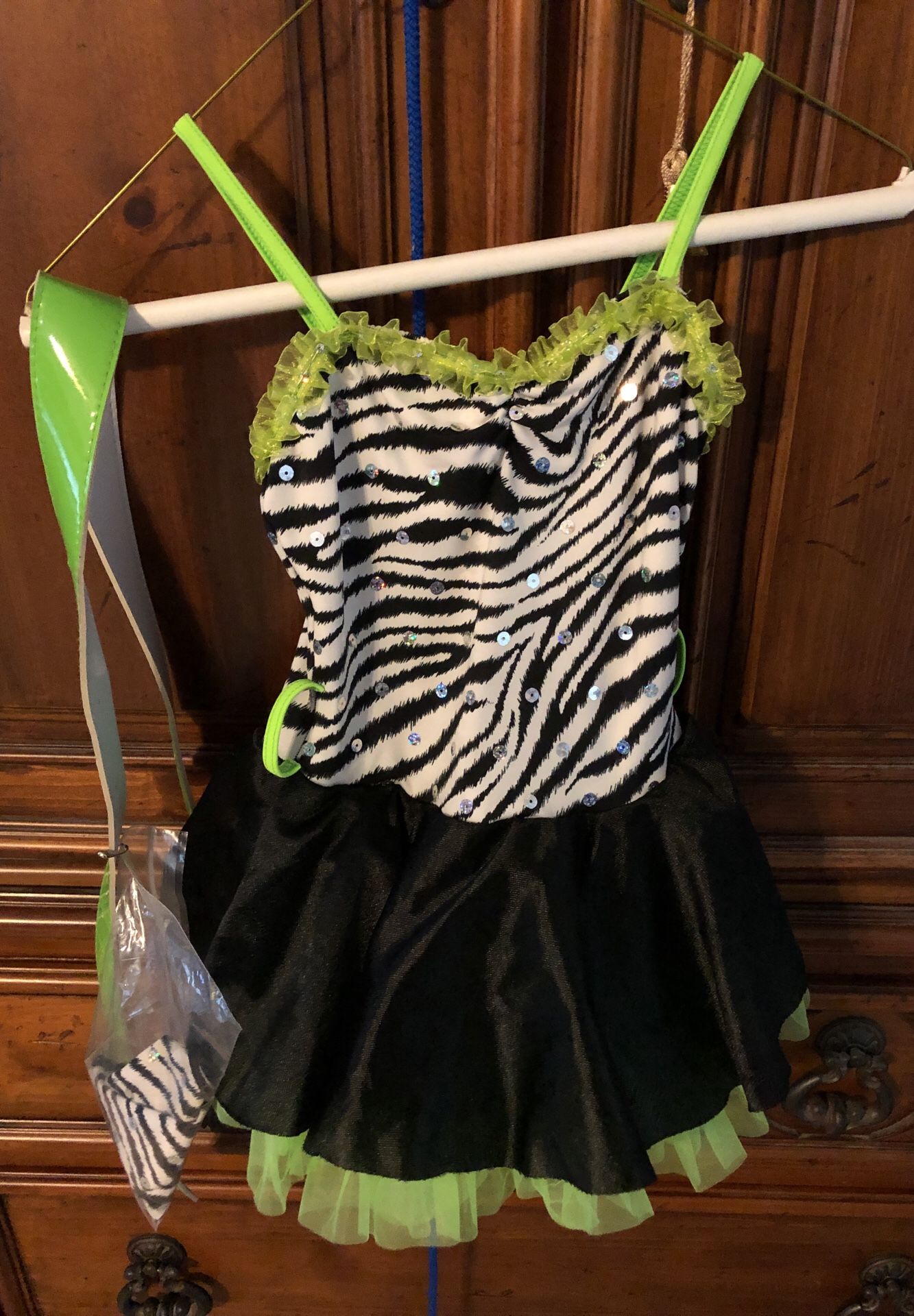 Little Girl’s Dance Costume