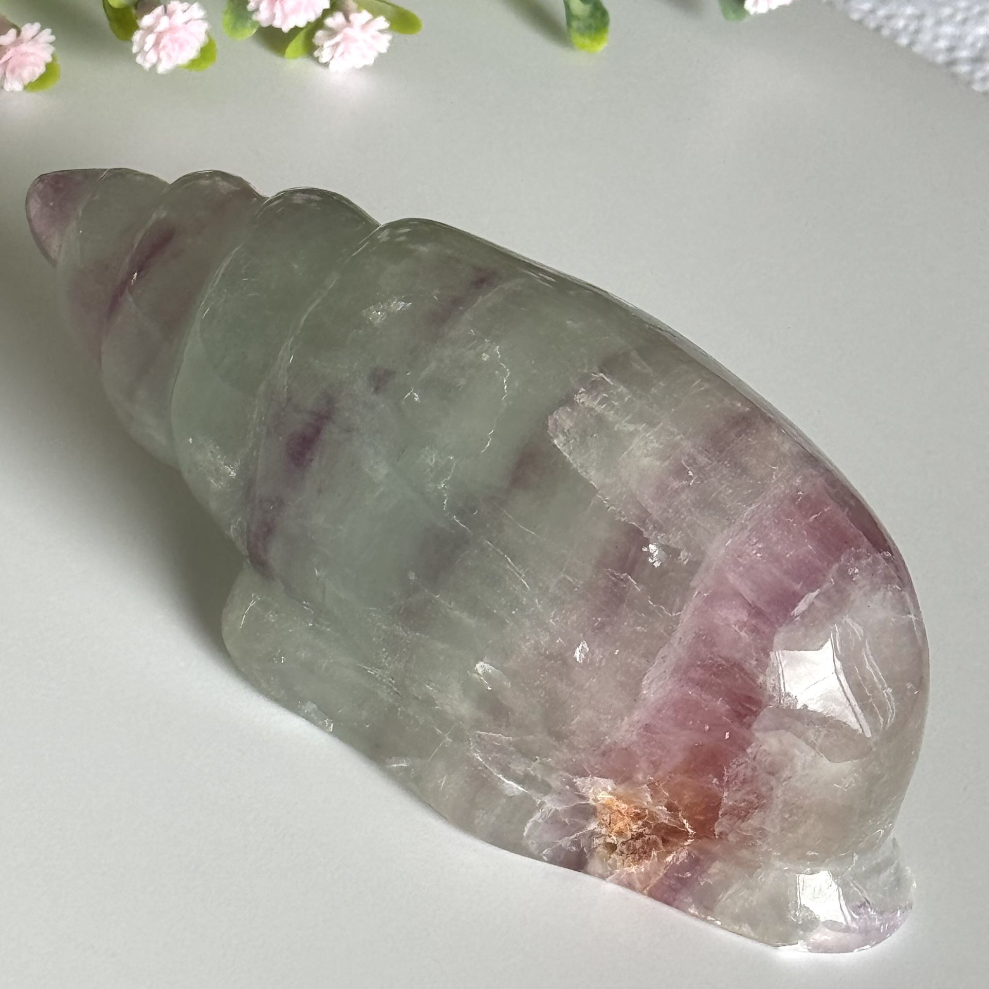 Fluorite Conch Shell π Crystal