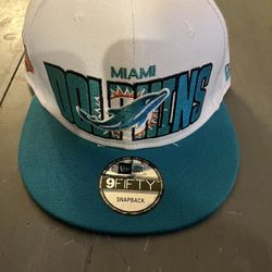 Miami Dolphins Snap Back 
