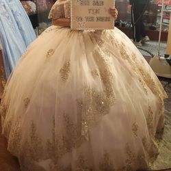 Brand New Quinceañera Dress