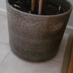 Ceramic Pots With Plants 