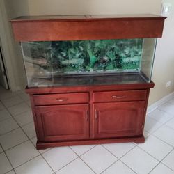 55 Gallon Fish Tank with Wooden Cabinet Stand, Light, and Magnum 350 Canister Filter