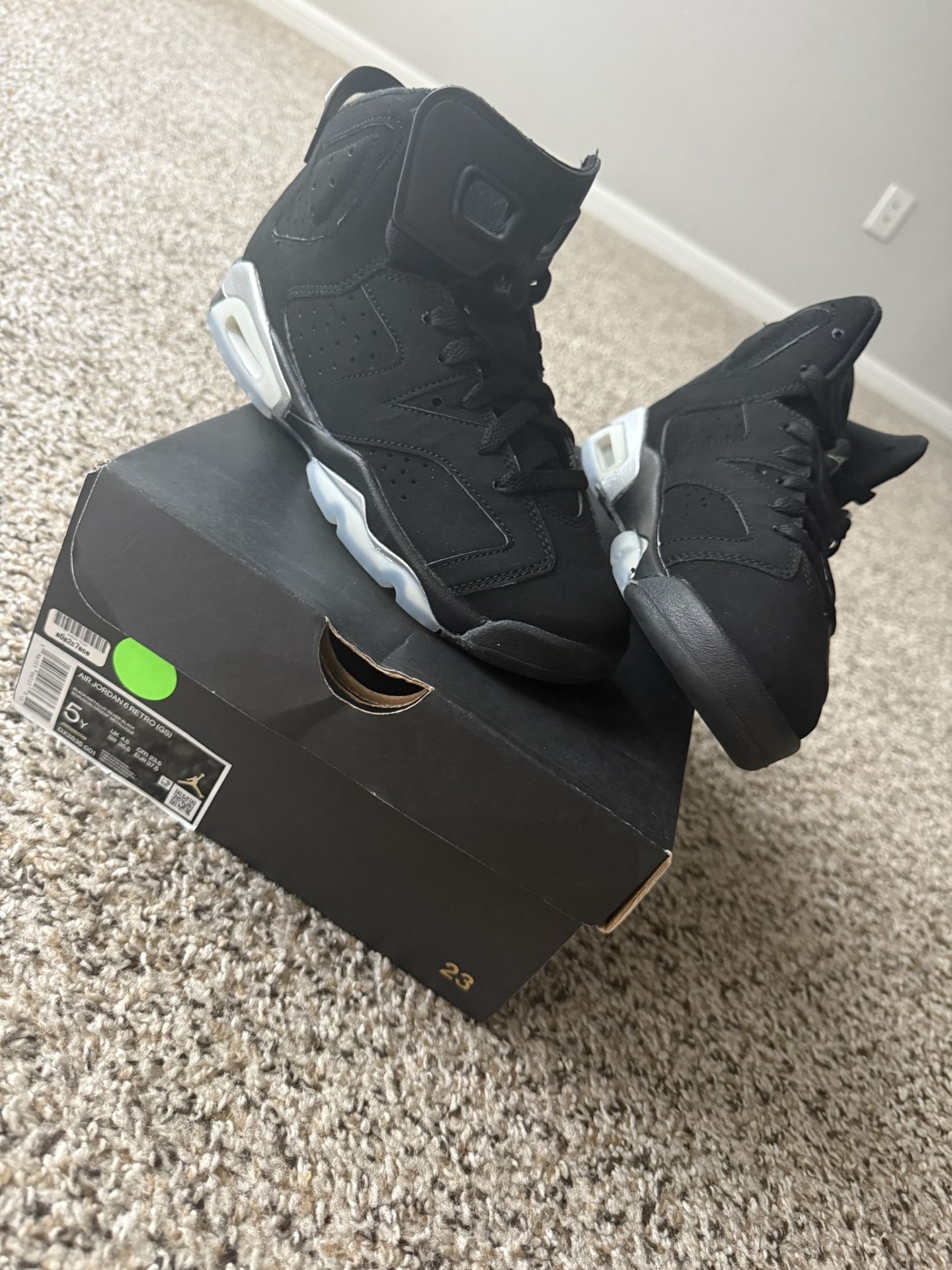 Air Jordan 6 Retro