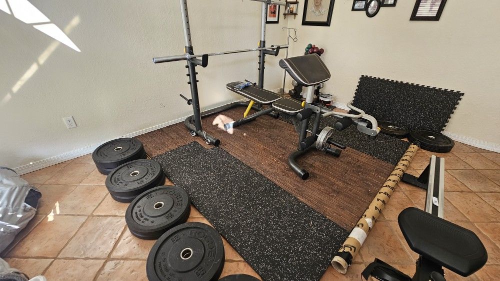 Complete Gym With Platform