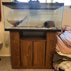 48 Gallon Terrarium For Reptiles