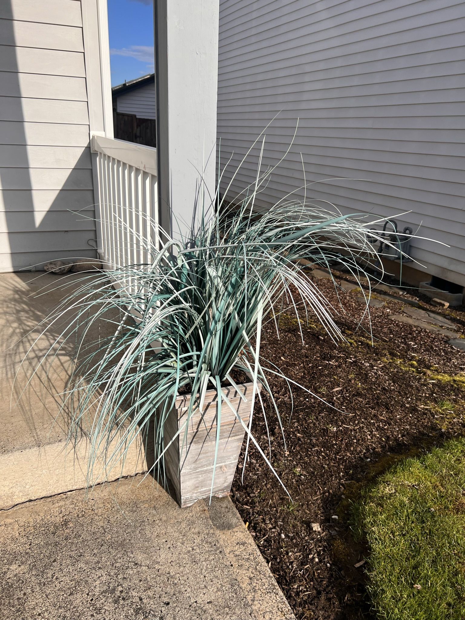 Faux Plant
