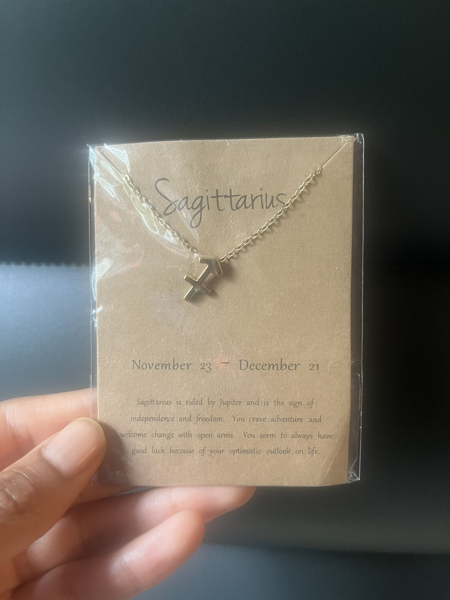 Sagittarius Horoscope Necklace