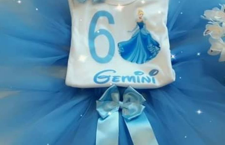 Cinderella tutu outfit