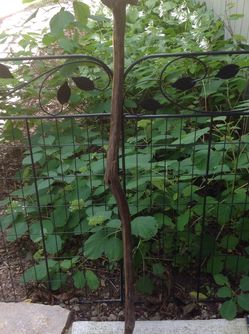 Custom Made Walking Stick