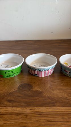 Snoopy dog bowls