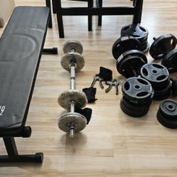 Exercise Bench + Weights