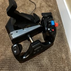 Microsoft Flight Sim