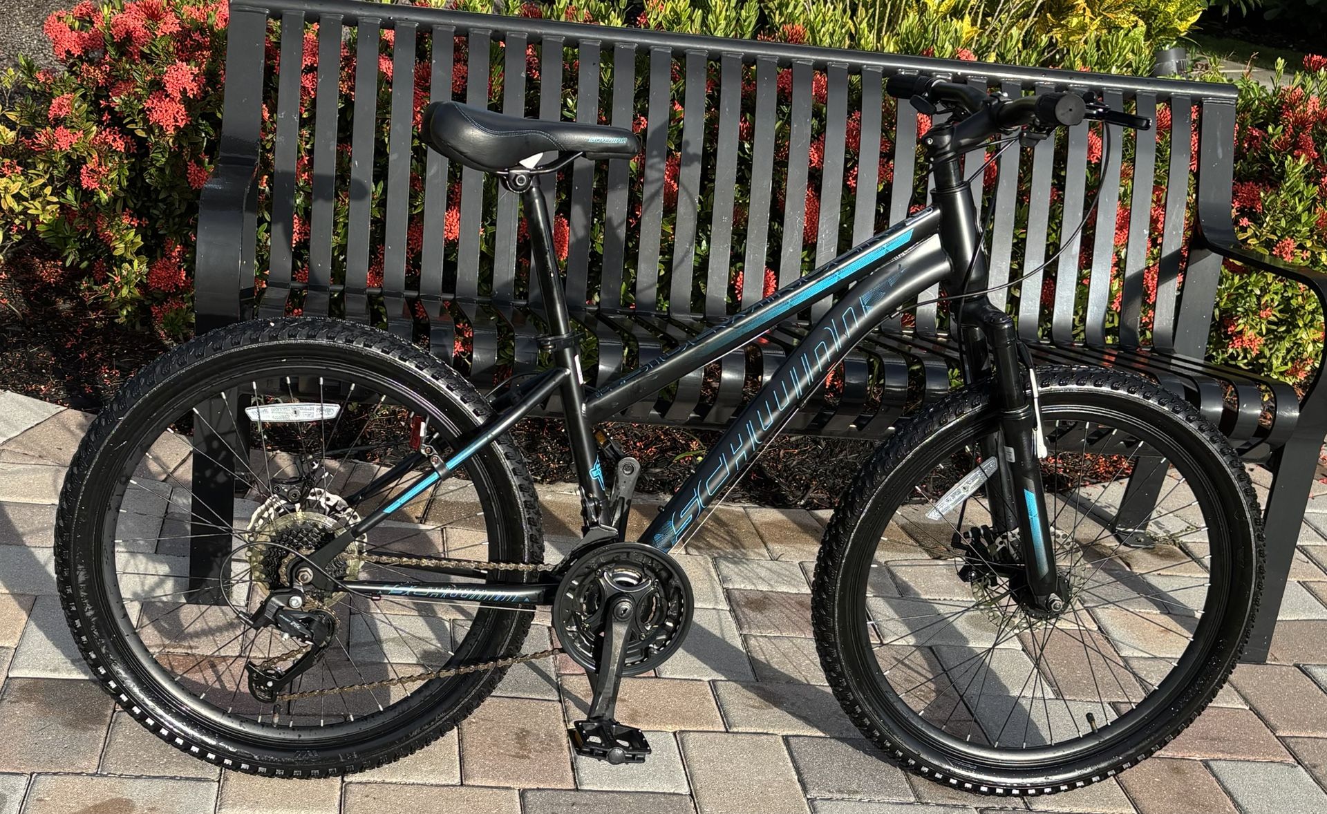 Schwinn 24-in. Sidewinder Unisex Mountain Bike, Black & Teal, 21 Speeds