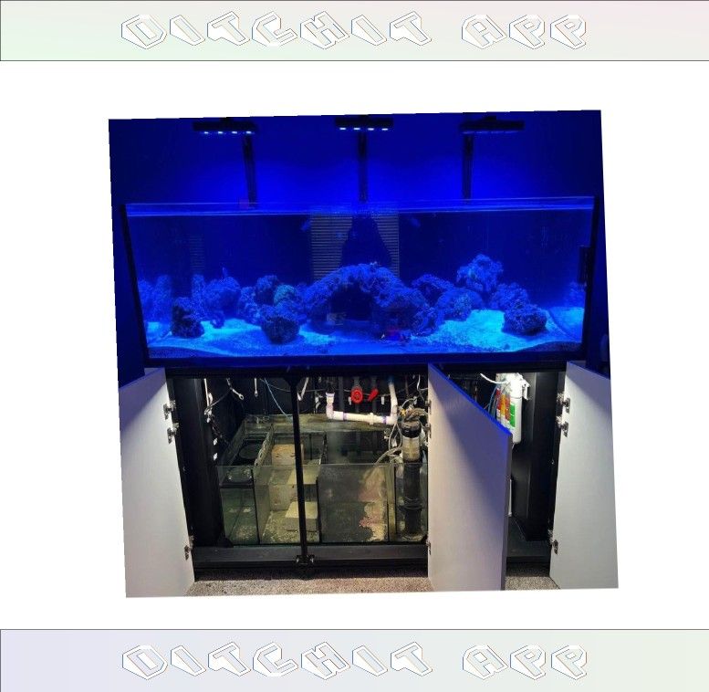 group soon Massive Aquarium Tank - Wide & Stunning Display