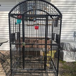 Bird Cage