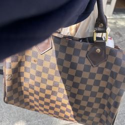 Louis Vuitton Purse