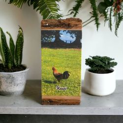 Kauai Rooster Photo On Wood