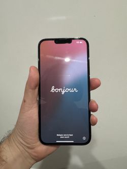 iPhone 13 Pro Max