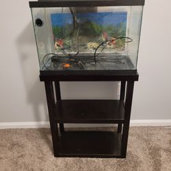 Fish Tank + Stand 