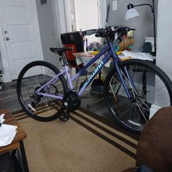 Ladies Schwinn Super Sport Se Small