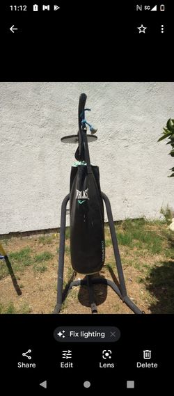 Punching Bag Stang