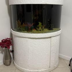 Aquarium For Sale 