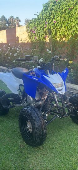 Raptor 125cc