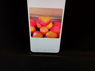 YUMMY FOR THE TUMMY PEACH MANGO'S!