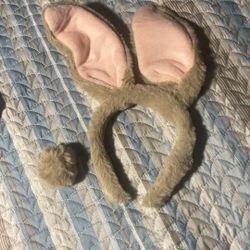 Bunny And Kitty Costume